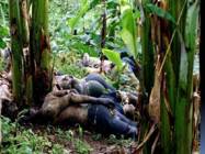 Rwanda genotsiid #13