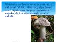 Puravikud #3
