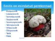 Puravikud #4