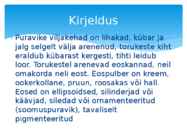 Puravikud #5