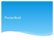 Puravikud
