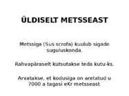 Metssiga #2
