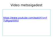 Metssiga #5