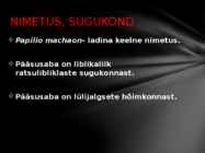 Pääsusaba tutvustus läbi powerpointi #2