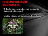 Pääsusaba tutvustus läbi powerpointi #3