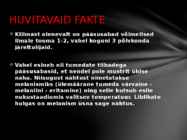 Pääsusaba tutvustus läbi powerpointi #7