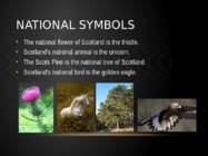 Scotland #5