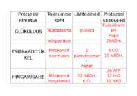 Glükolüüs-tsitraaditsükkel-hingamisahel