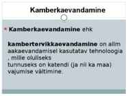 Kamberkaevandamine #2