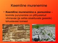 Pinnamoe kujunemine välistegurite toimel #6