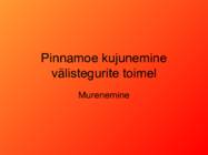 Pinnamoe kujunemine välistegurite toimel