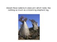 Strange and mysticals places on Earth #7
