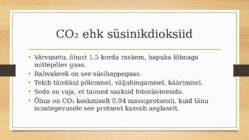 Süsinik #13