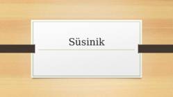 Süsinik