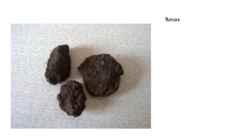 Geoloogia - kivimite powerpoint #33