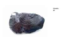 Geoloogia - kivimite powerpoint #45