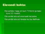Elevant #3