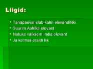 Elevant #5