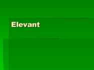 Elevant