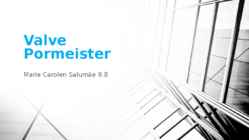 Valve Poormeister