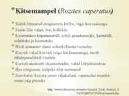 Söögiseened ja nende söödavusomadused #14
