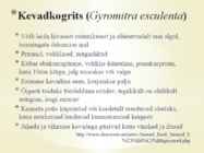 Söögiseened ja nende söödavusomadused #8