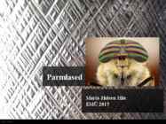 PARMLASED