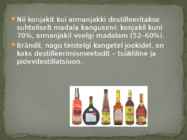 Brändi #13