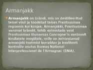 Brändi #6