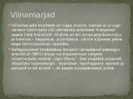 Brändi #10