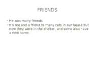 MY PET #11