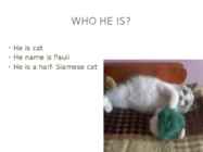 MY PET #3