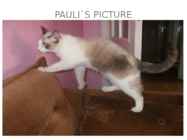 MY PET #4