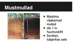 Rohtlad - Geograafia powerpoint #4