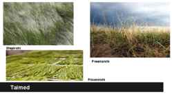 Rohtlad - Geograafia powerpoint #5