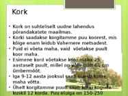 Ökoloogilised põrandad-säästev põrandakate #3