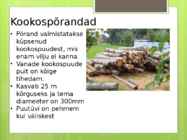Ökoloogilised põrandad-säästev põrandakate #22