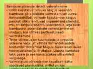 Ökoloogilised põrandad-säästev põrandakate #9