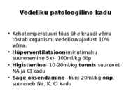 PALAVIK #11