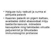 PALAVIK #4