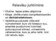 PALAVIK #9