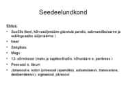 Seedeelundite haigused #4
