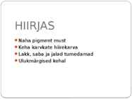 HOBUSTE VÄRVUSED #19