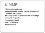HOBUSTE VÄRVUSED #25