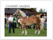 HOBUSTE VÄRVUSED #9