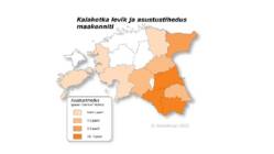 Eesti kotkad #11