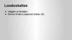 Palumaa #15