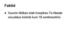 Liblikad #8