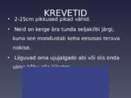 Krevetid ja krillid #3