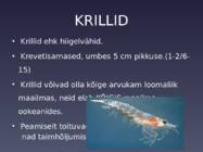 Krevetid ja krillid #5
